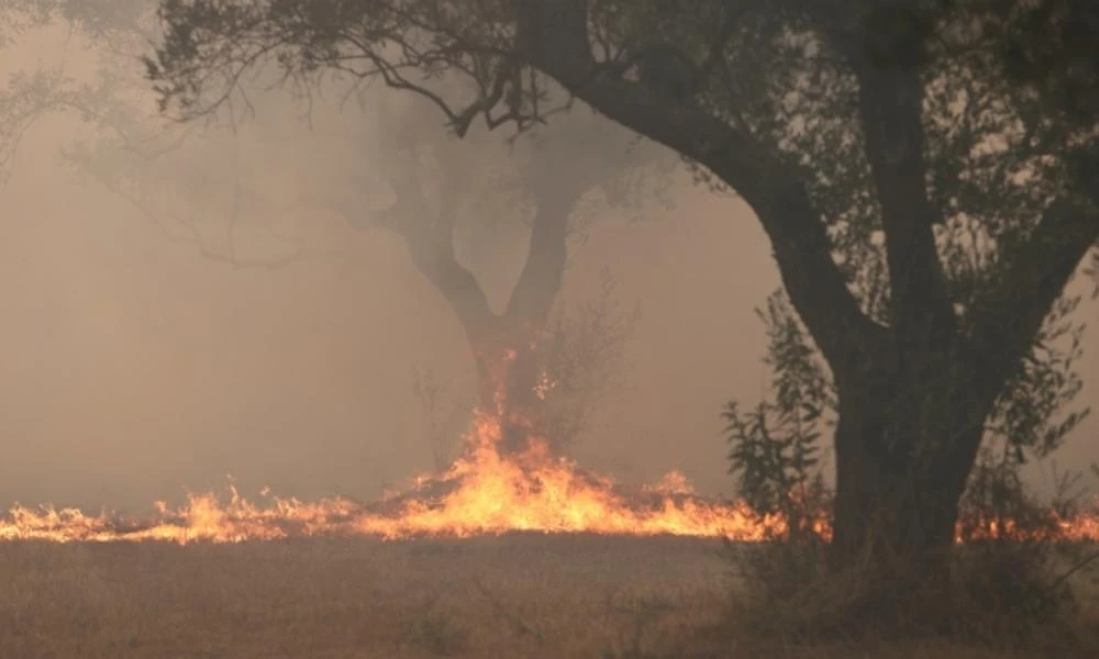 Συνεχίζεται η τραγωδία στον Έβρο: Εντολή εκκένωσης για Γιαννούλη και Σιδηρώ- Πυρκαγιά σε Έδεσσα και Εύβοια